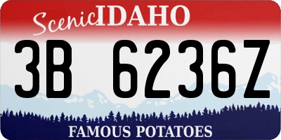 ID license plate 3B6236Z