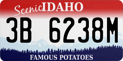 ID license plate 3B6238M