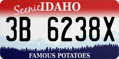 ID license plate 3B6238X