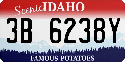 ID license plate 3B6238Y