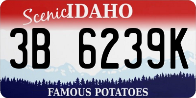 ID license plate 3B6239K