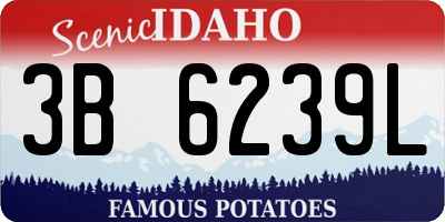 ID license plate 3B6239L