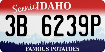 ID license plate 3B6239P
