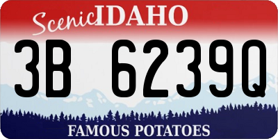 ID license plate 3B6239Q