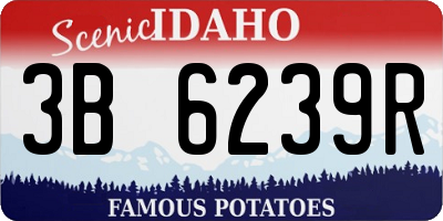 ID license plate 3B6239R