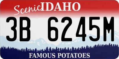 ID license plate 3B6245M
