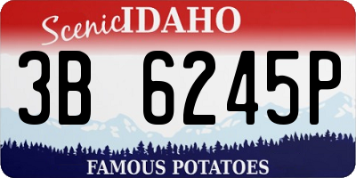 ID license plate 3B6245P