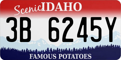 ID license plate 3B6245Y