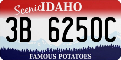 ID license plate 3B6250C