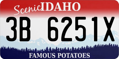 ID license plate 3B6251X