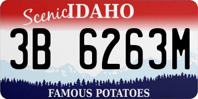 ID license plate 3B6263M