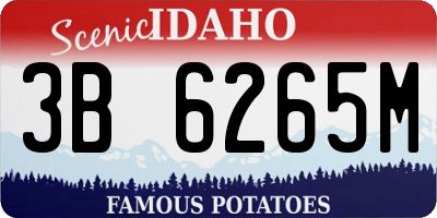 ID license plate 3B6265M