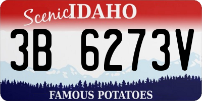 ID license plate 3B6273V