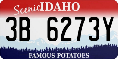 ID license plate 3B6273Y