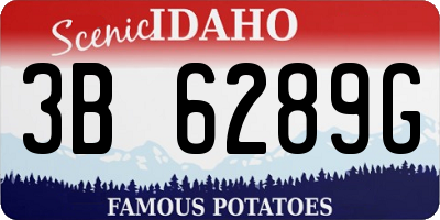 ID license plate 3B6289G