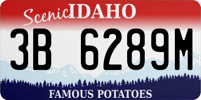 ID license plate 3B6289M