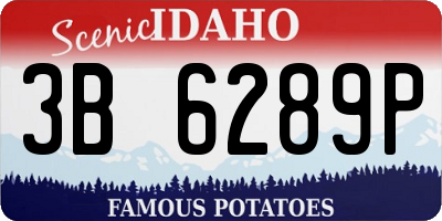 ID license plate 3B6289P
