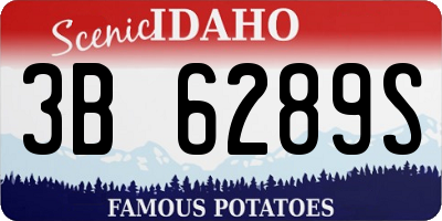 ID license plate 3B6289S