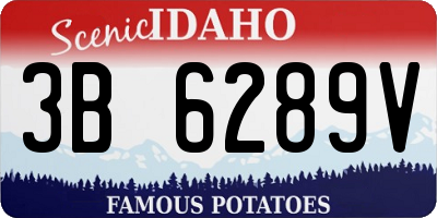 ID license plate 3B6289V
