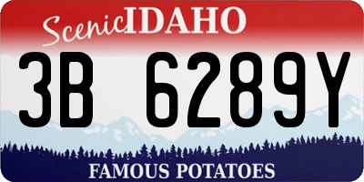 ID license plate 3B6289Y