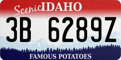 ID license plate 3B6289Z