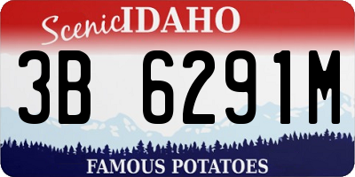 ID license plate 3B6291M