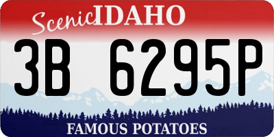ID license plate 3B6295P