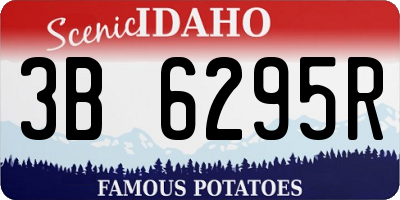 ID license plate 3B6295R