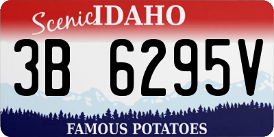 ID license plate 3B6295V