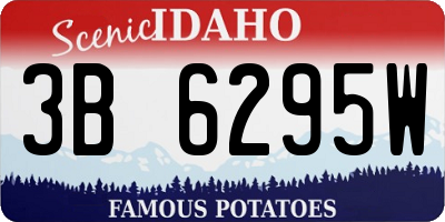 ID license plate 3B6295W