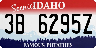 ID license plate 3B6295Z