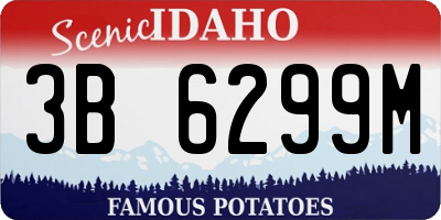 ID license plate 3B6299M