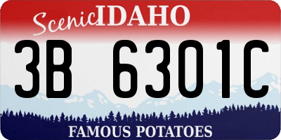ID license plate 3B6301C