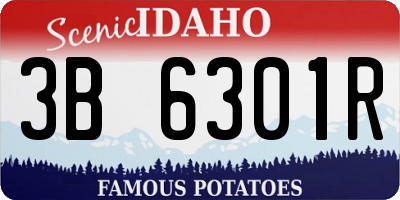 ID license plate 3B6301R