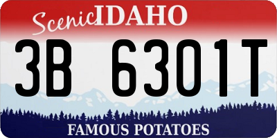 ID license plate 3B6301T