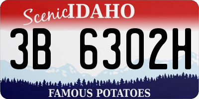 ID license plate 3B6302H