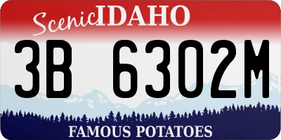 ID license plate 3B6302M