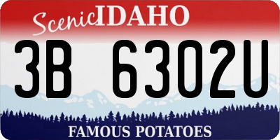 ID license plate 3B6302U