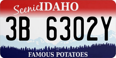 ID license plate 3B6302Y