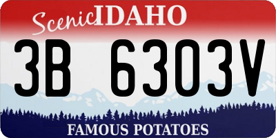 ID license plate 3B6303V
