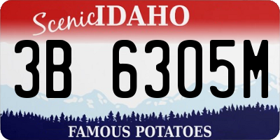 ID license plate 3B6305M