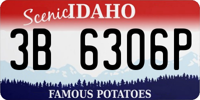 ID license plate 3B6306P