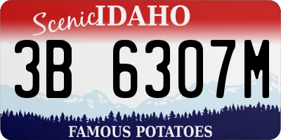 ID license plate 3B6307M