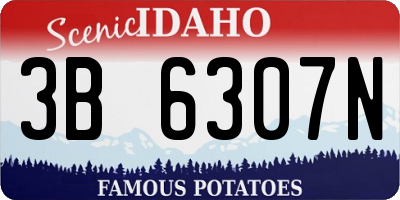 ID license plate 3B6307N