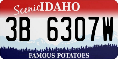 ID license plate 3B6307W