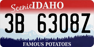 ID license plate 3B6308Z