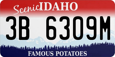 ID license plate 3B6309M