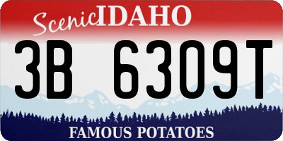 ID license plate 3B6309T