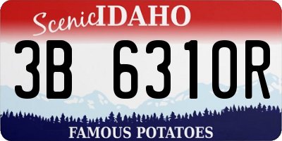 ID license plate 3B6310R