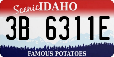 ID license plate 3B6311E